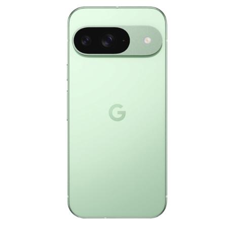 Google Pixel 9 12/128Gb Wintergreen Google Pixel 9 12/128Gb Wintergreen